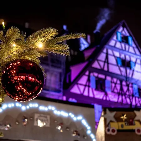 Bel Avec Vue Splendide Sur Toute La De - Parking Gratuit Colmar